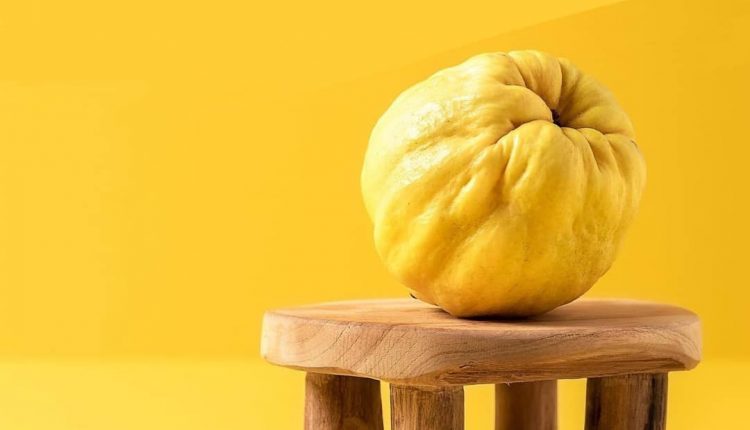 دلمه بهِ و شرب بهِ