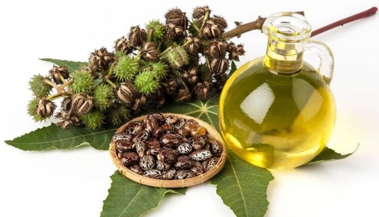 خواص معجزه آسا گیاه کرچک