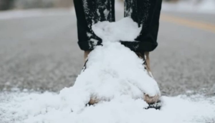 شیوه صحیح نگهداری از چرم جیر