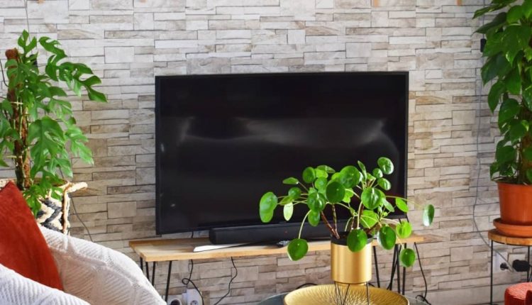 نگهداری از گیاه قاشقی