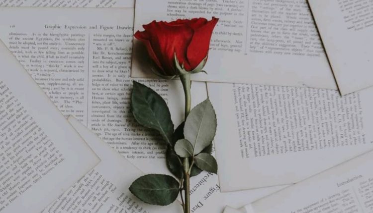 ویژگی افراد امن