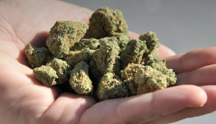 علائم اعتیاد به ماری جوانا