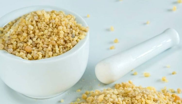 کندر در بارداری